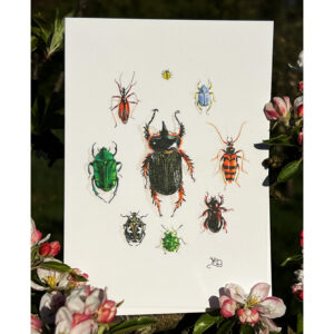 Dung beetle and other beetles in a circle card