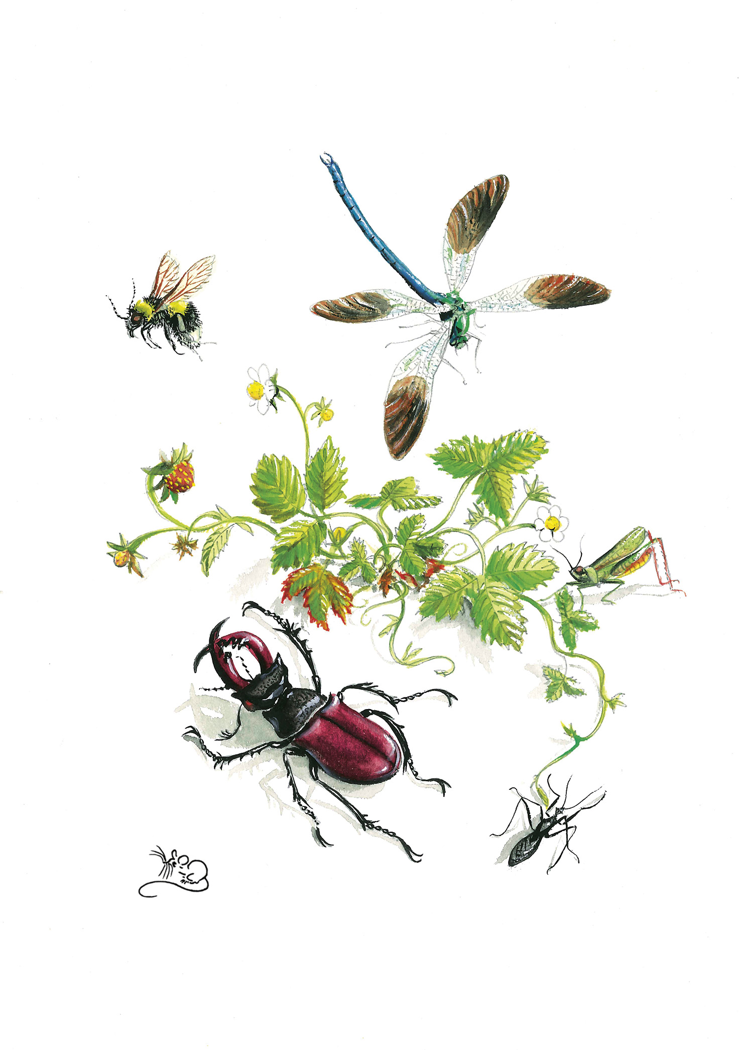Wild strawberry and insects greetings card