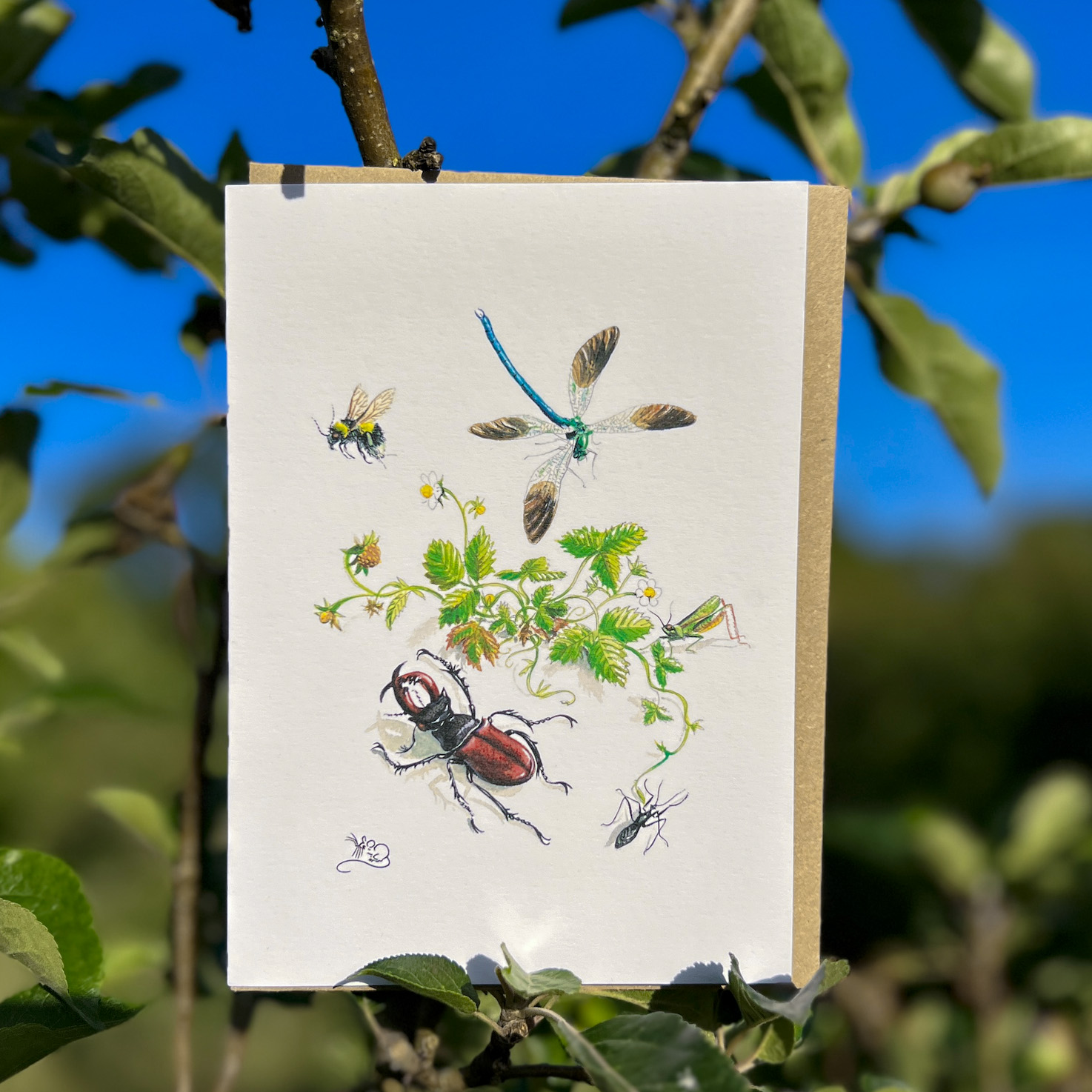 Wild strawberry and insects greetings card
