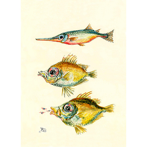 Three tropical Fish greeting card