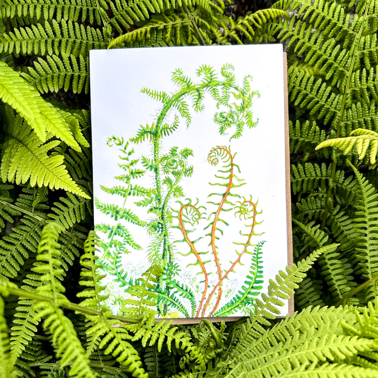 Fern greetings card